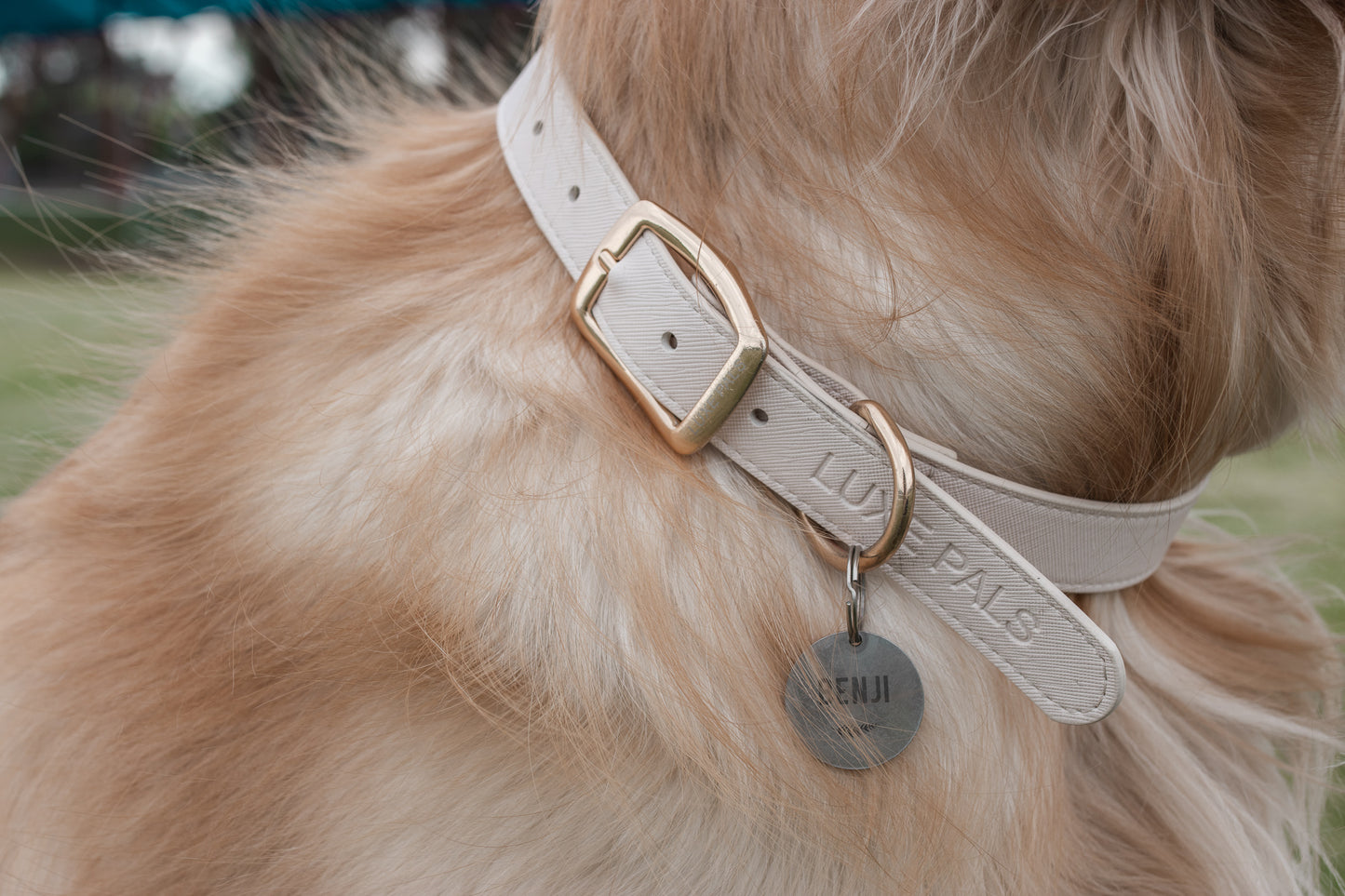 Collar - Beige