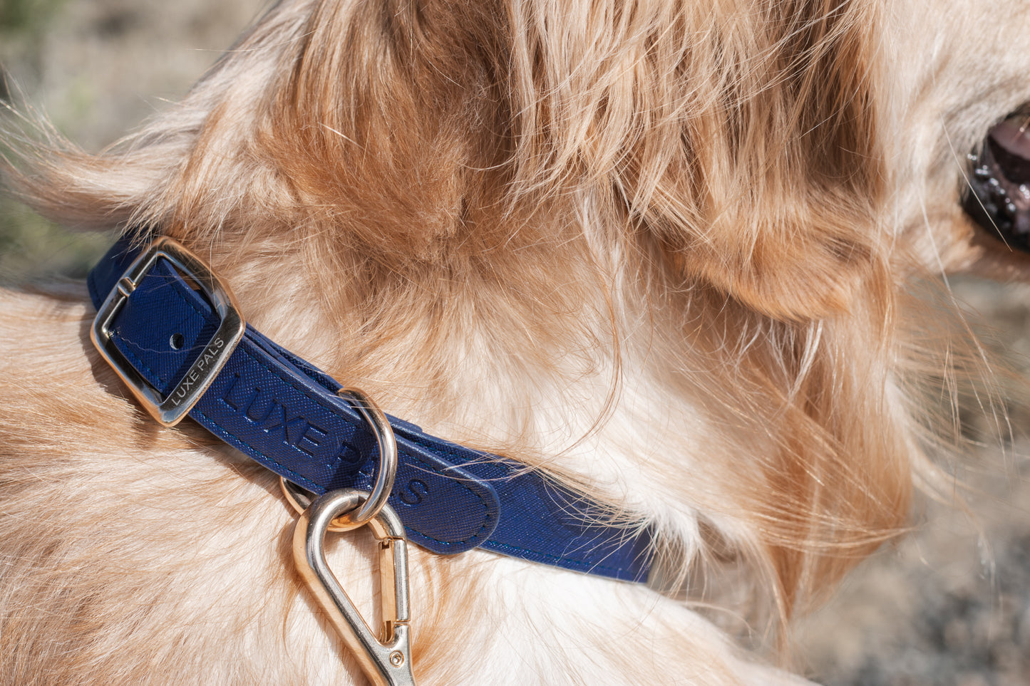 Collar - Navy Blue