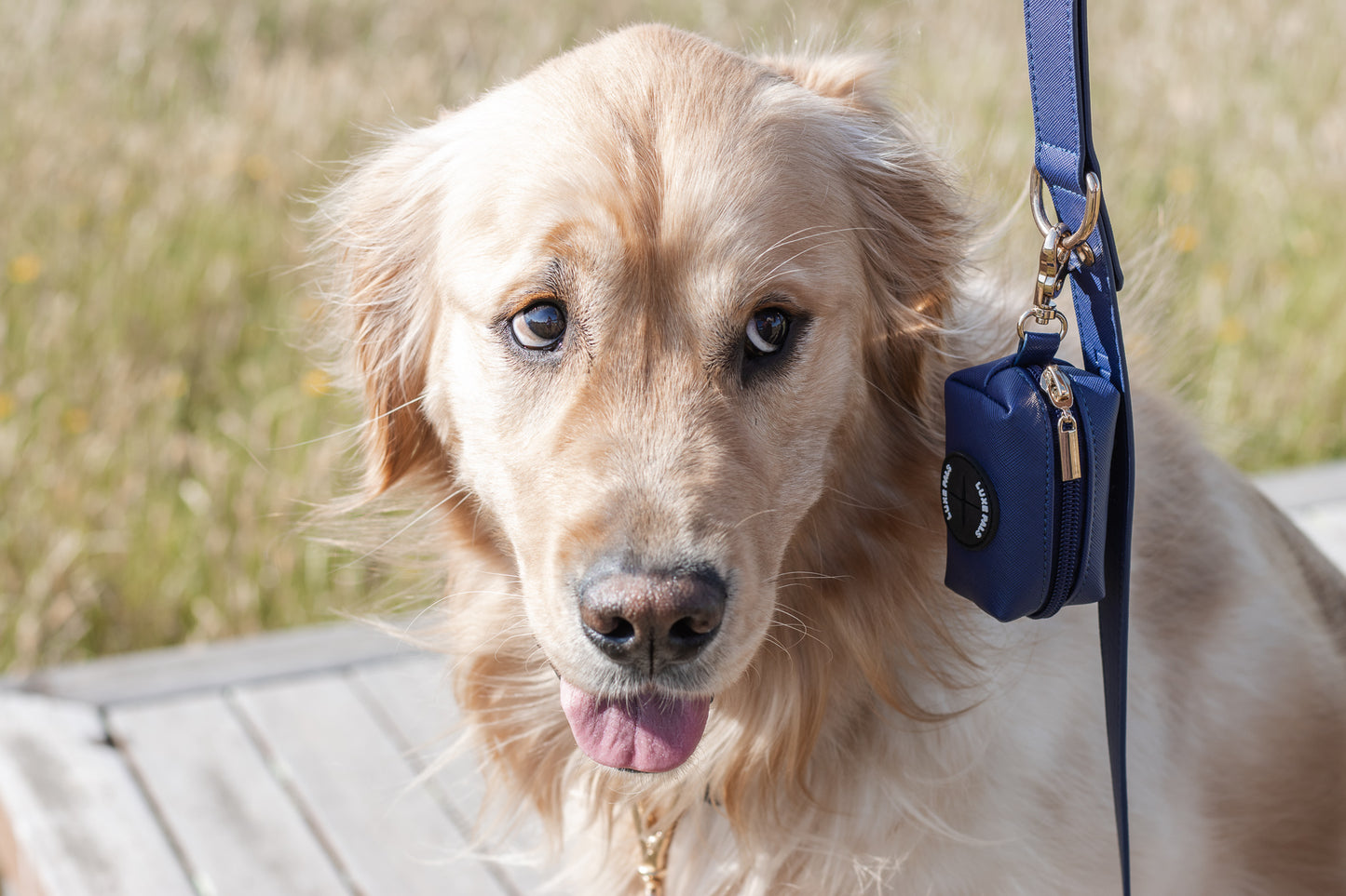Synthetic Leather Poop Bag Holder
