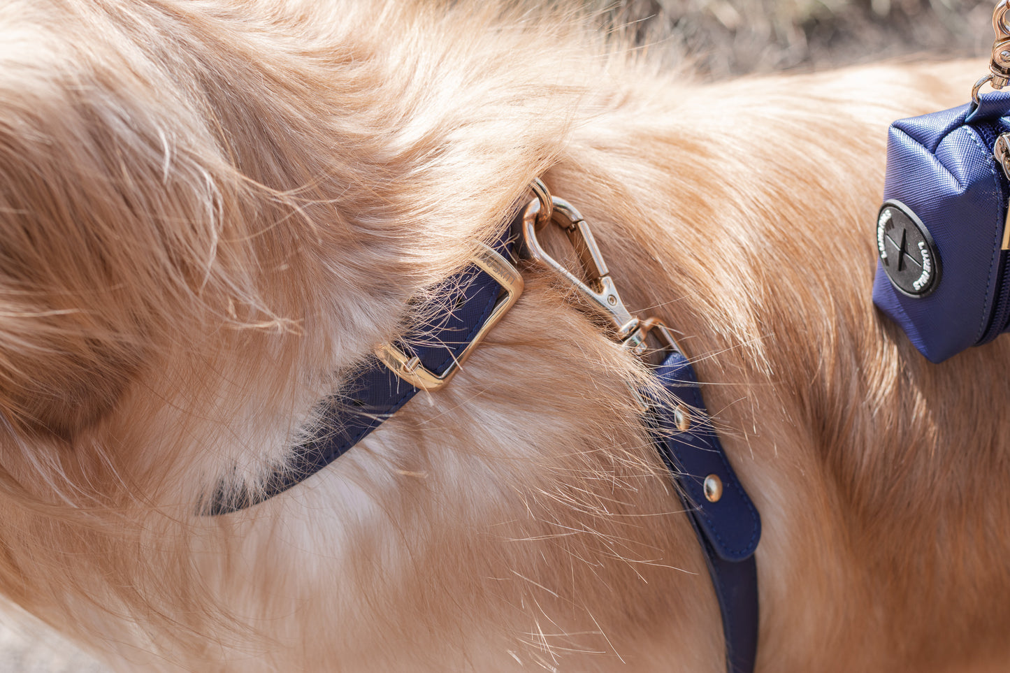 Set - Navy Blue Synthetic Leather