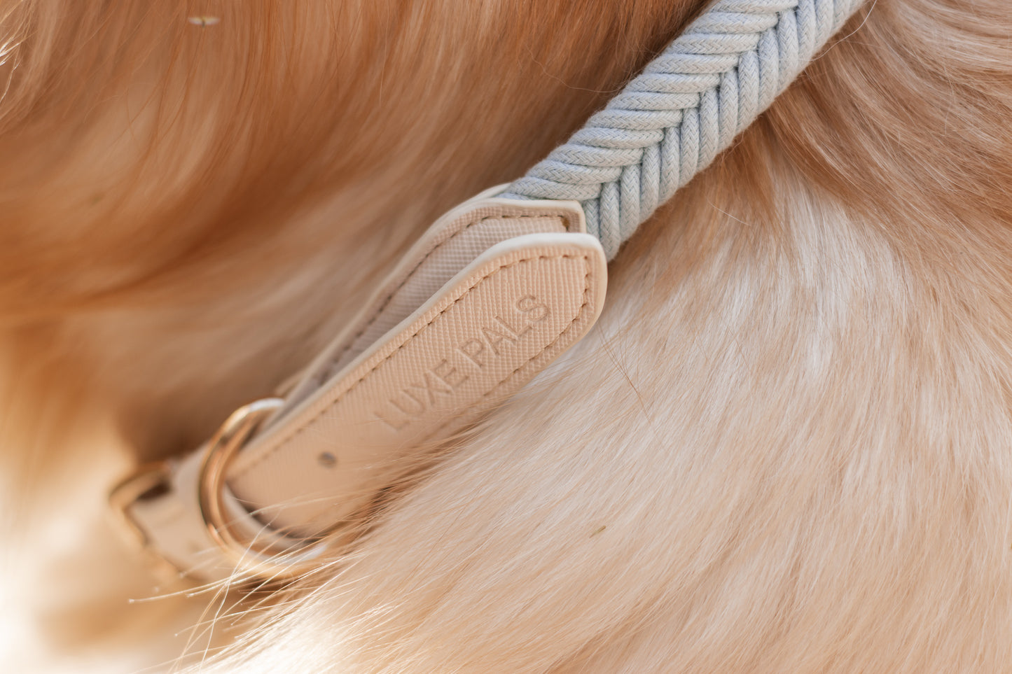 Collar - Luxe Pals Classic