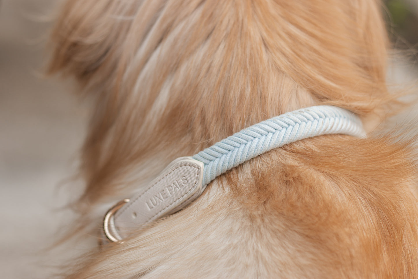 Collar - Luxe Pals Classic