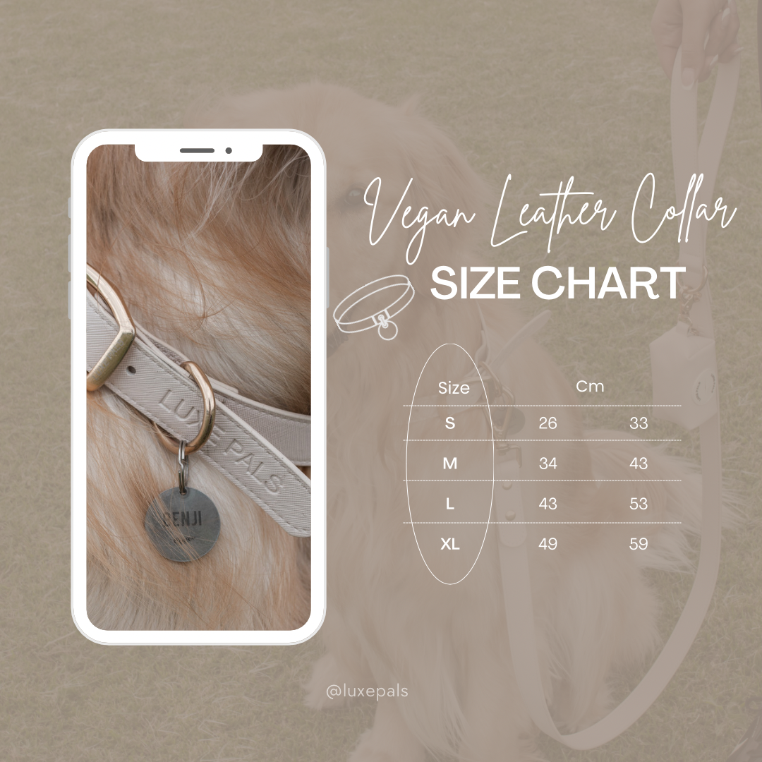 Set - Beige Synthetic Leather Set